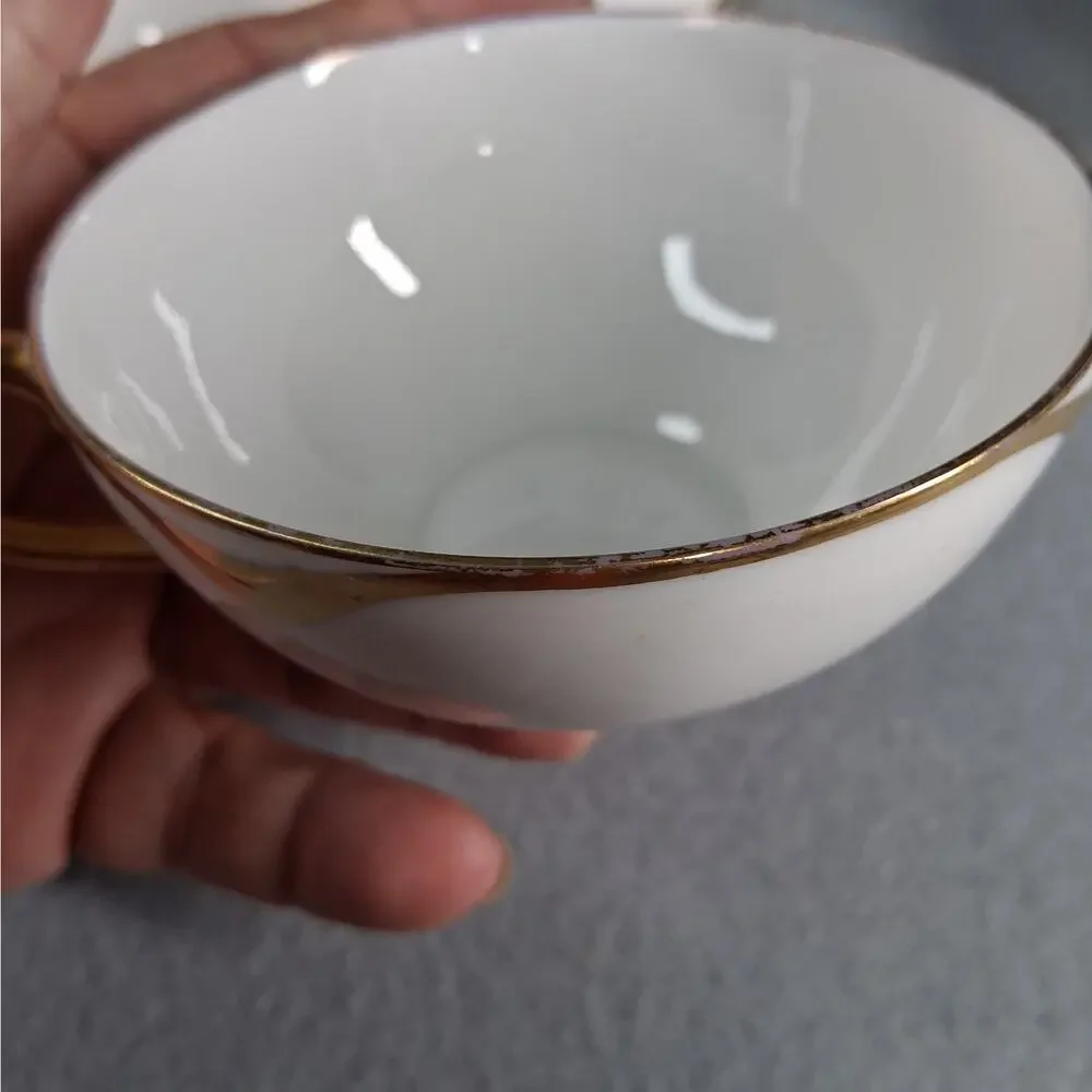 Haviland France Limoges set vintage